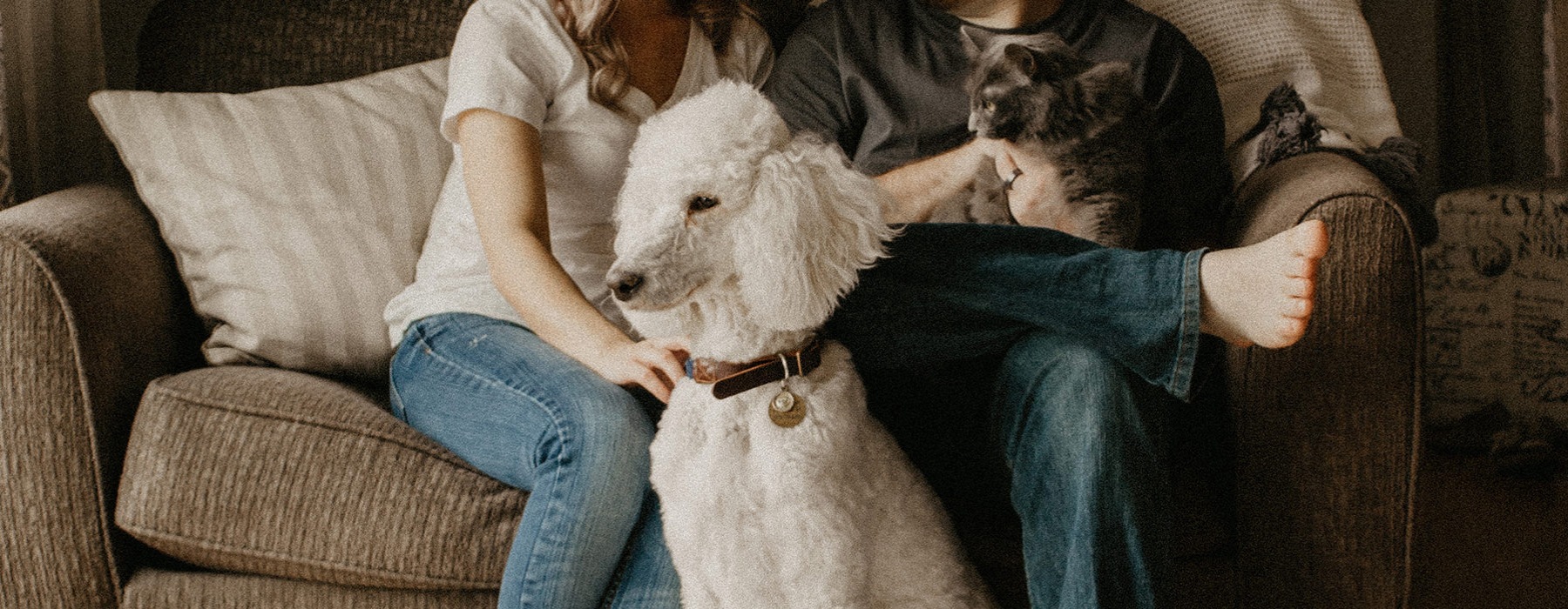 Woman and man sitting on a couch with a gray cat and a white poodle
